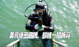 在线观看绝密底牌,在线观看背后的故事与策略